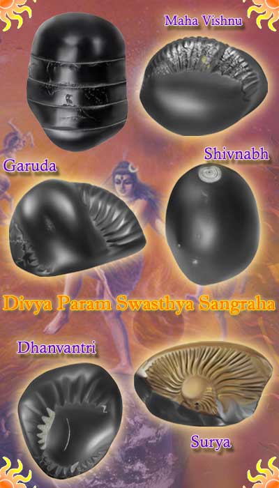 Auspicious Divya Param Swasthya Sangraha-DPS001